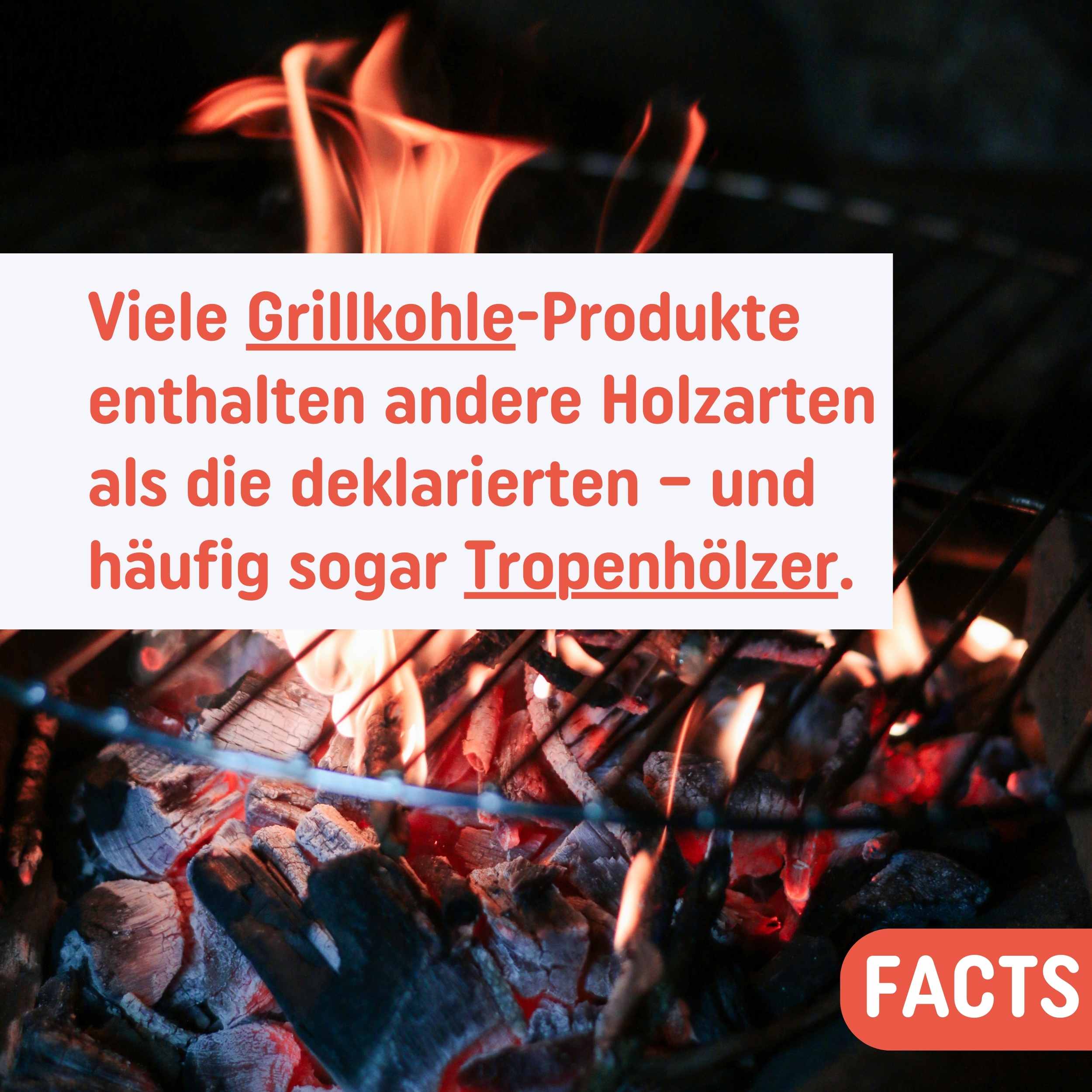 Grillen - aber bitte ohne soviel Abfall!