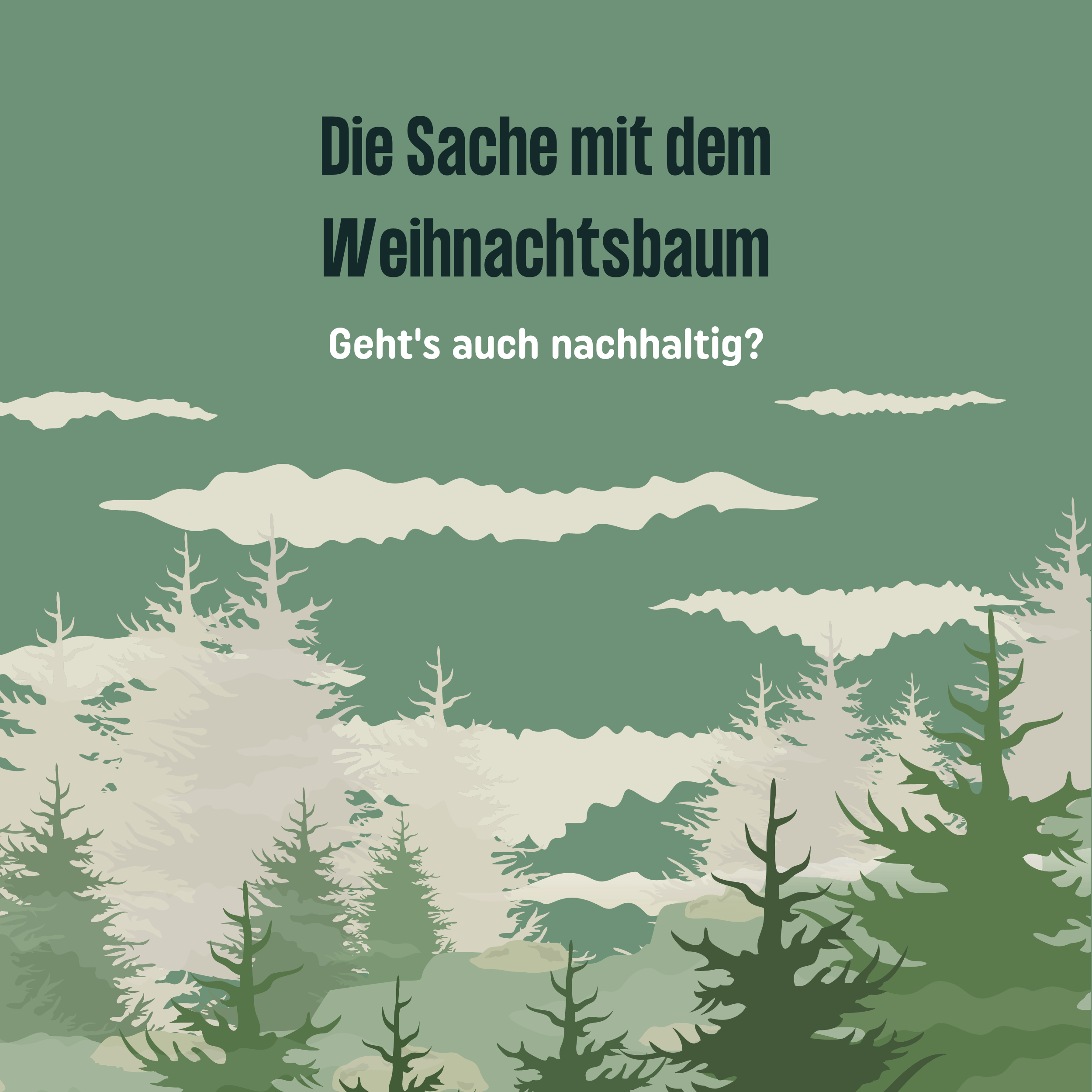 Die Sache mit dem Weihnachtsbaum - geht's auch nachhaltig?