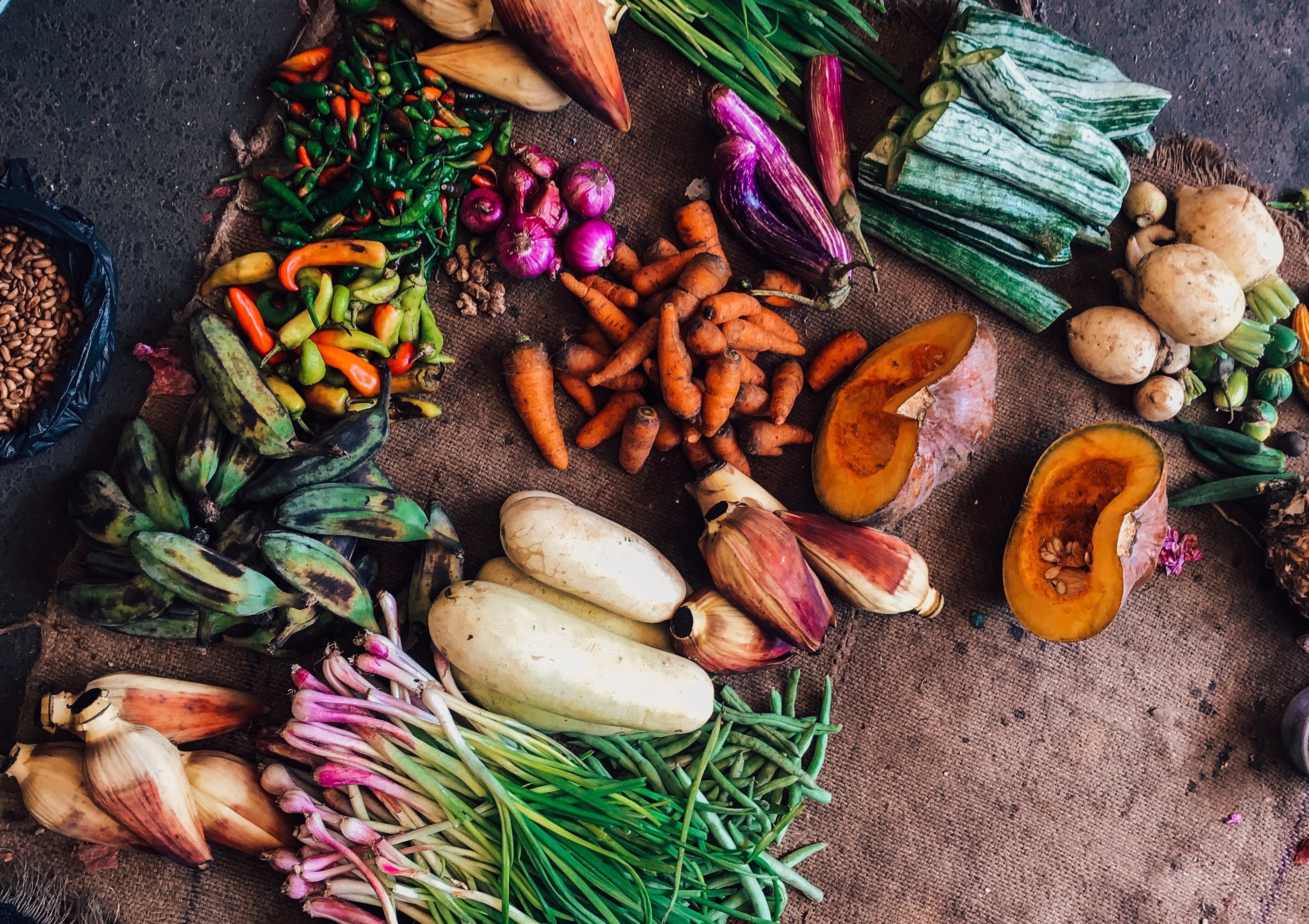 Welche Auswirkung hat Food Waste auf unser Klima und was kannst du dagegen tun?