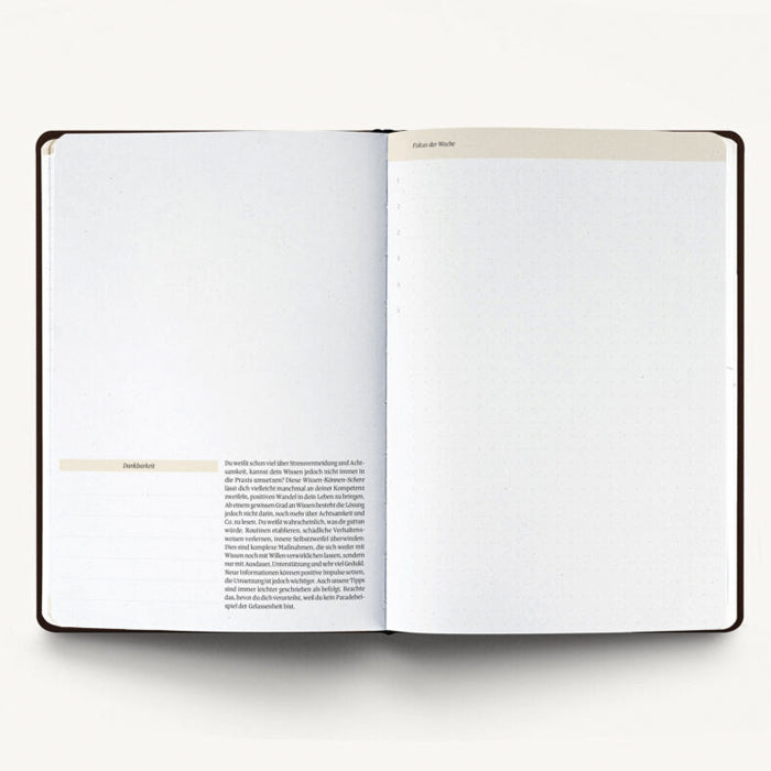 Ein guter Plan Pro 2026