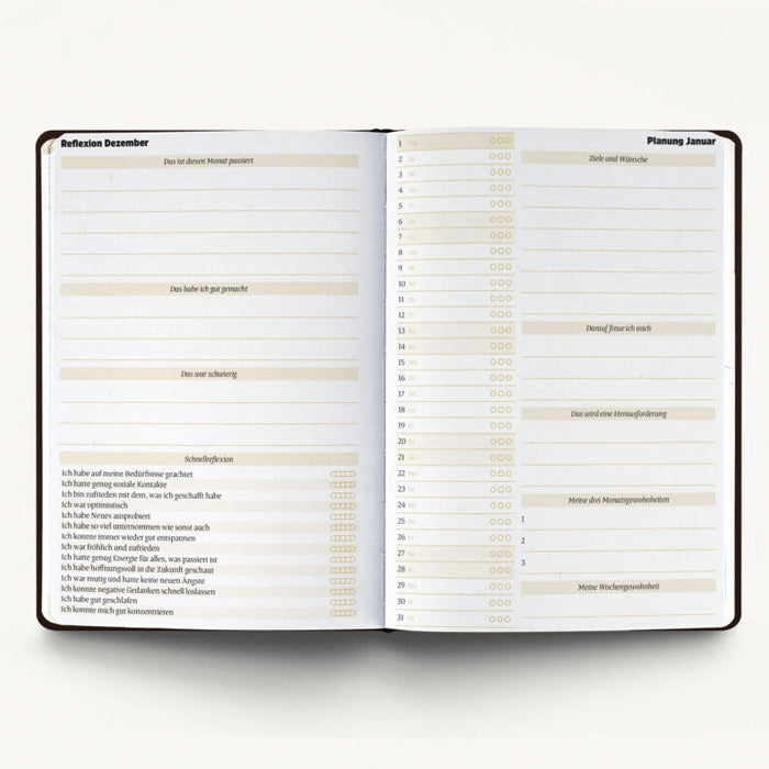 Ein guter Plan Pro 2026