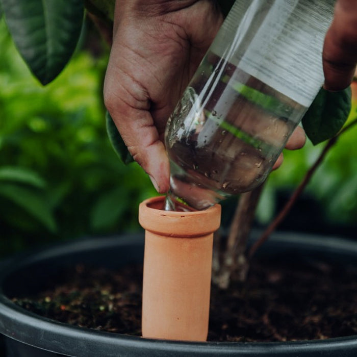 Self-watering pots "Hydro Spikes" set of 4