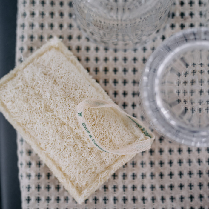 Luffa dishwashing sponge from C&D
