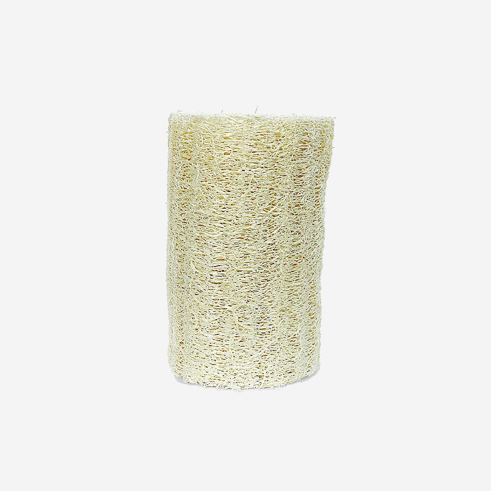 Luffagurke – verschied. Größen