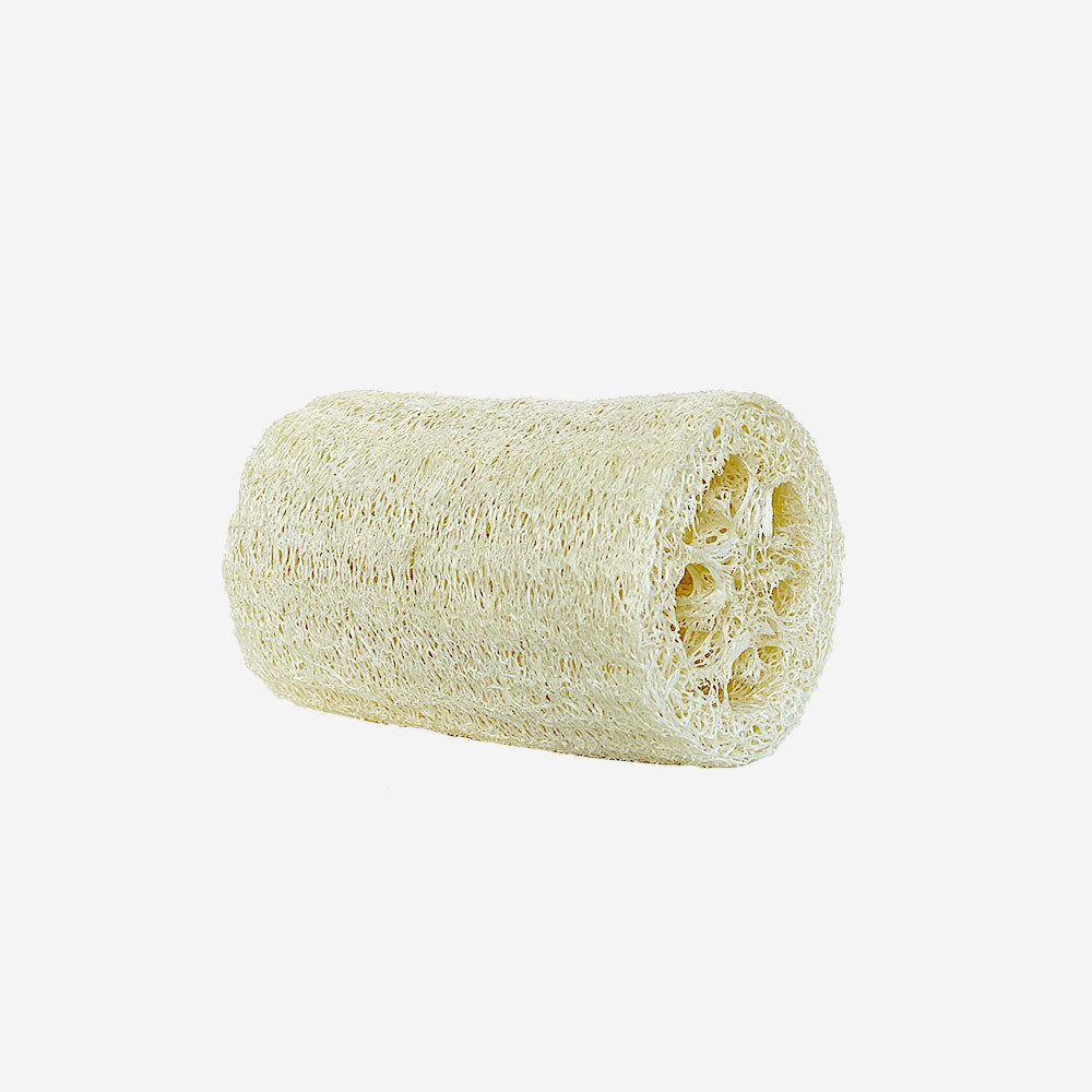 Luffagurke – verschied. Größen