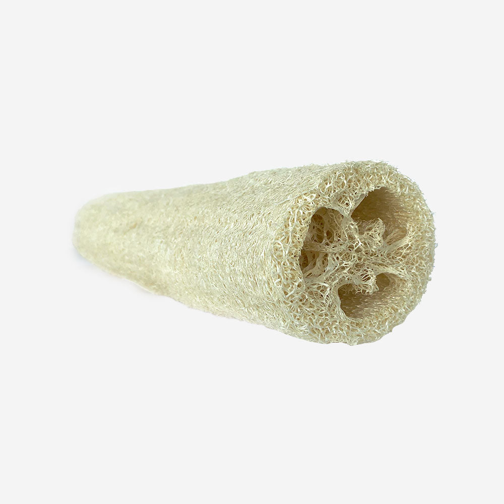 Luffagurke – verschied. Größen