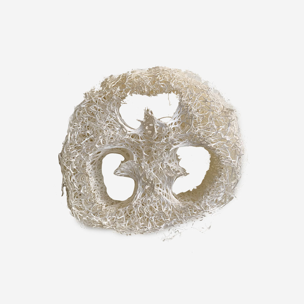 Luffa Scheibe, 2cm dick