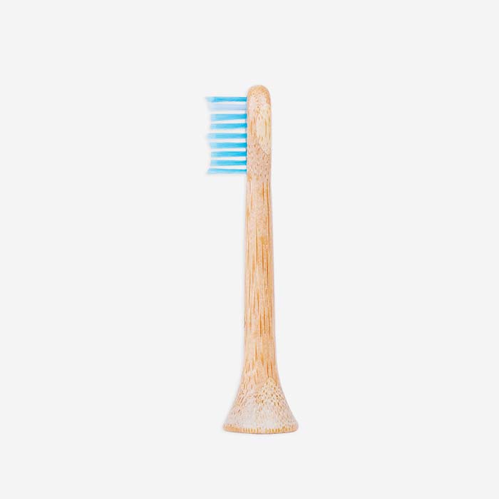 Nachhaltige Aufsteckköpfe für Phillips Sonicare Schallzahnbürsten, Hydrophil