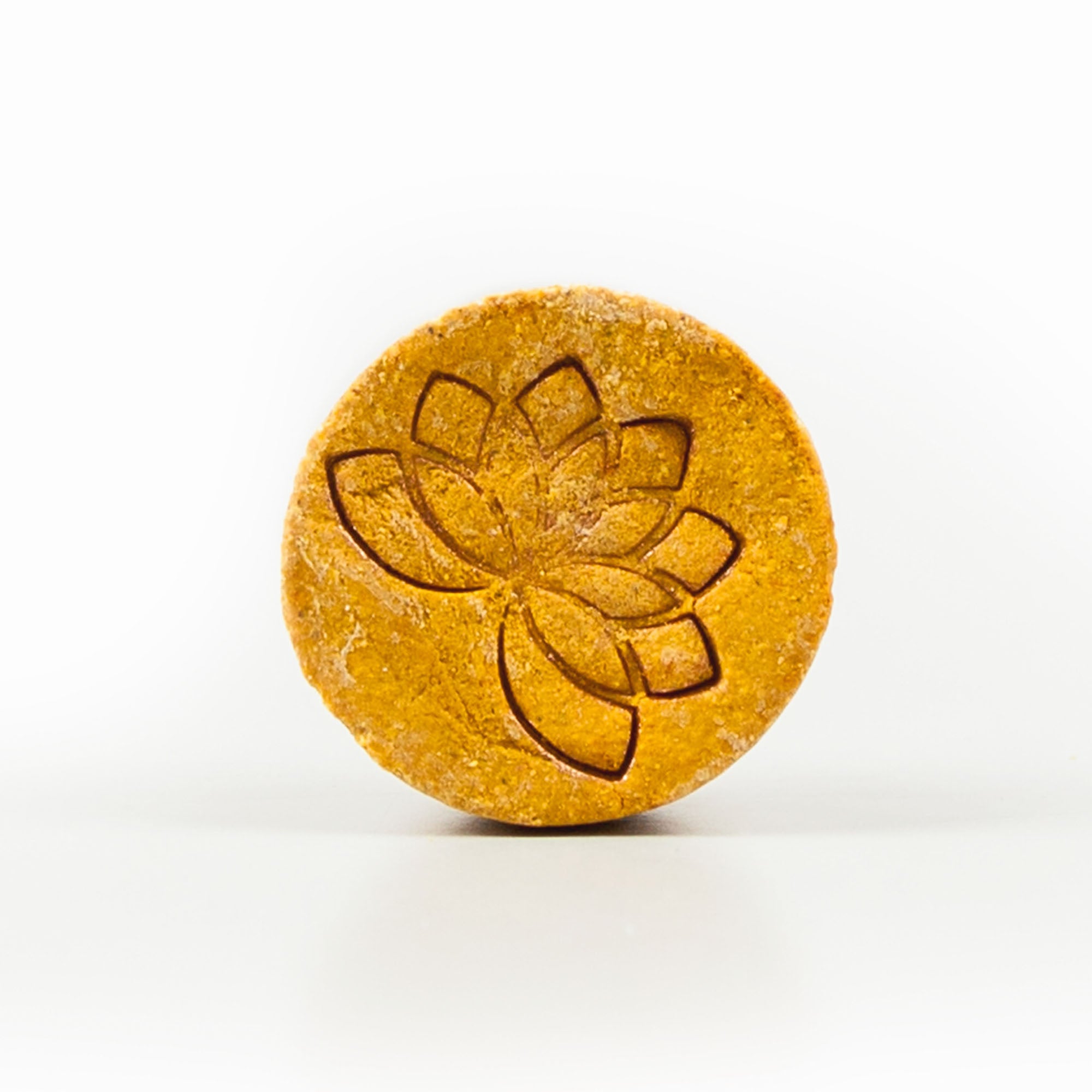 Shampoobar von Nelumbo – verschied. Sorten