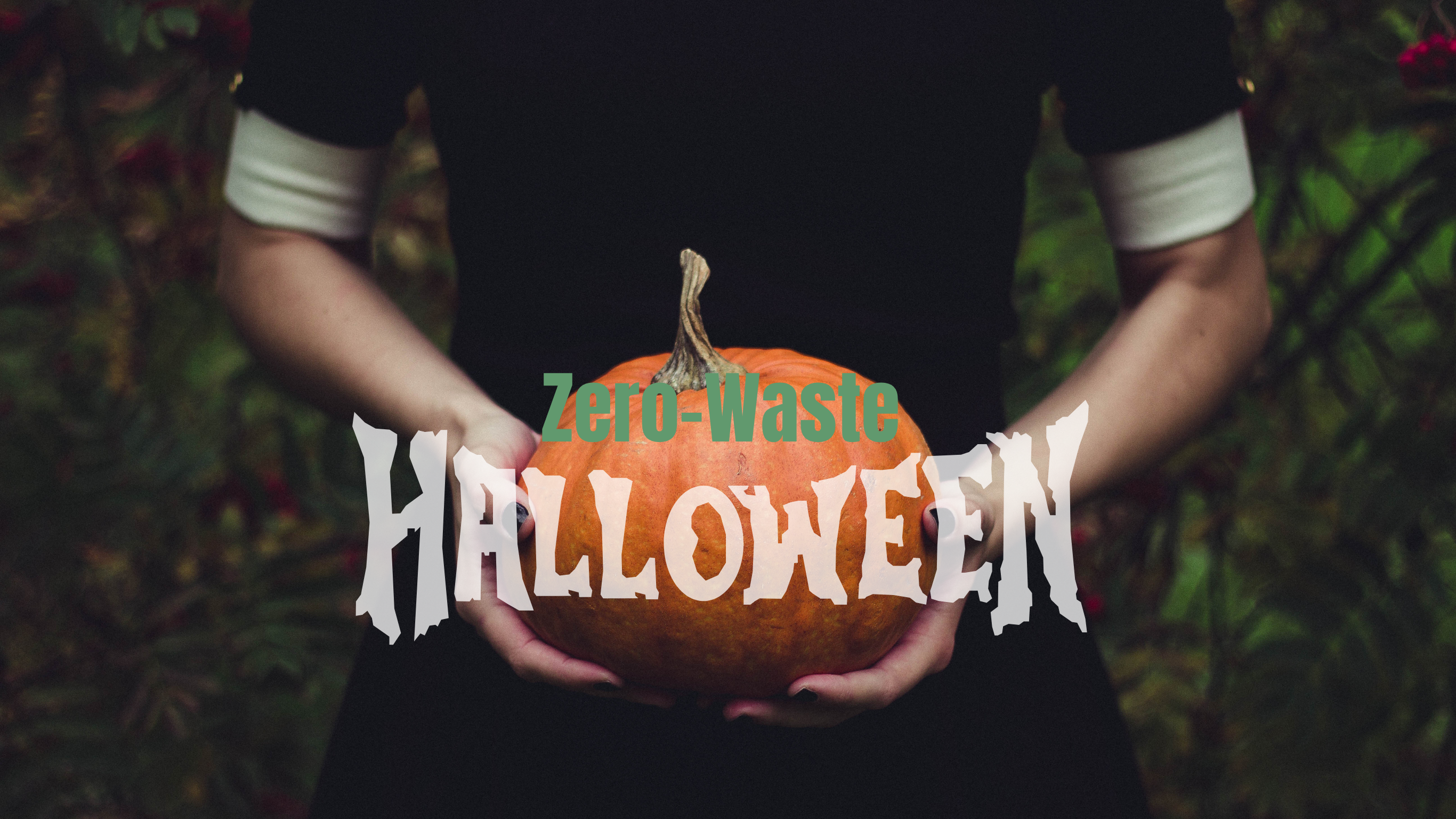 🎃 Halloween nachhaltig feiern